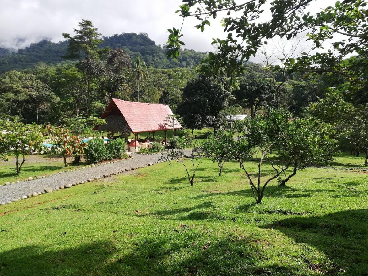 Hacienda Mil Bellezas - Private 40Ha Jungle Reserve Кепос Экстерьер фото