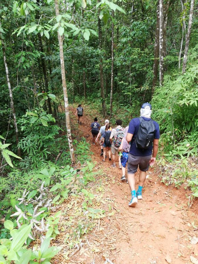 Hacienda Mil Bellezas - Private 40Ha Jungle Reserve Кепос Экстерьер фото