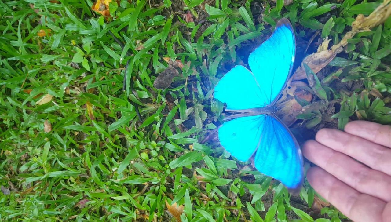 Hacienda Mil Bellezas - Private 40Ha Jungle Reserve Кепос Экстерьер фото