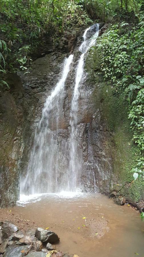 Hacienda Mil Bellezas - Private 40Ha Jungle Reserve Кепос Экстерьер фото