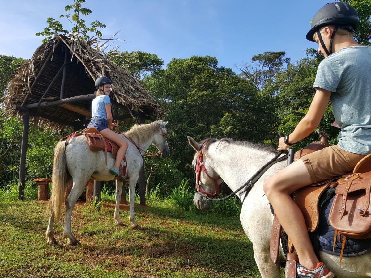 Hacienda Mil Bellezas - Private 40Ha Jungle Reserve Кепос Экстерьер фото